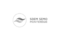 SDEM-SEMO